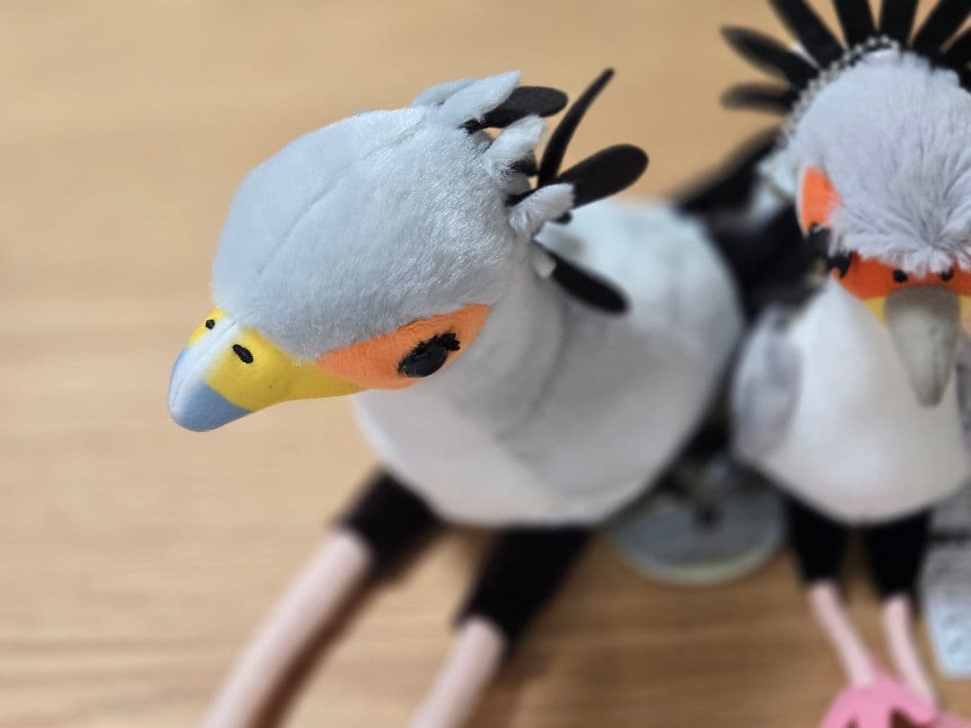 掛川花鳥園　ヘビクイワシ　ぬいぐるみ&マスコットキーチェーン２個セット