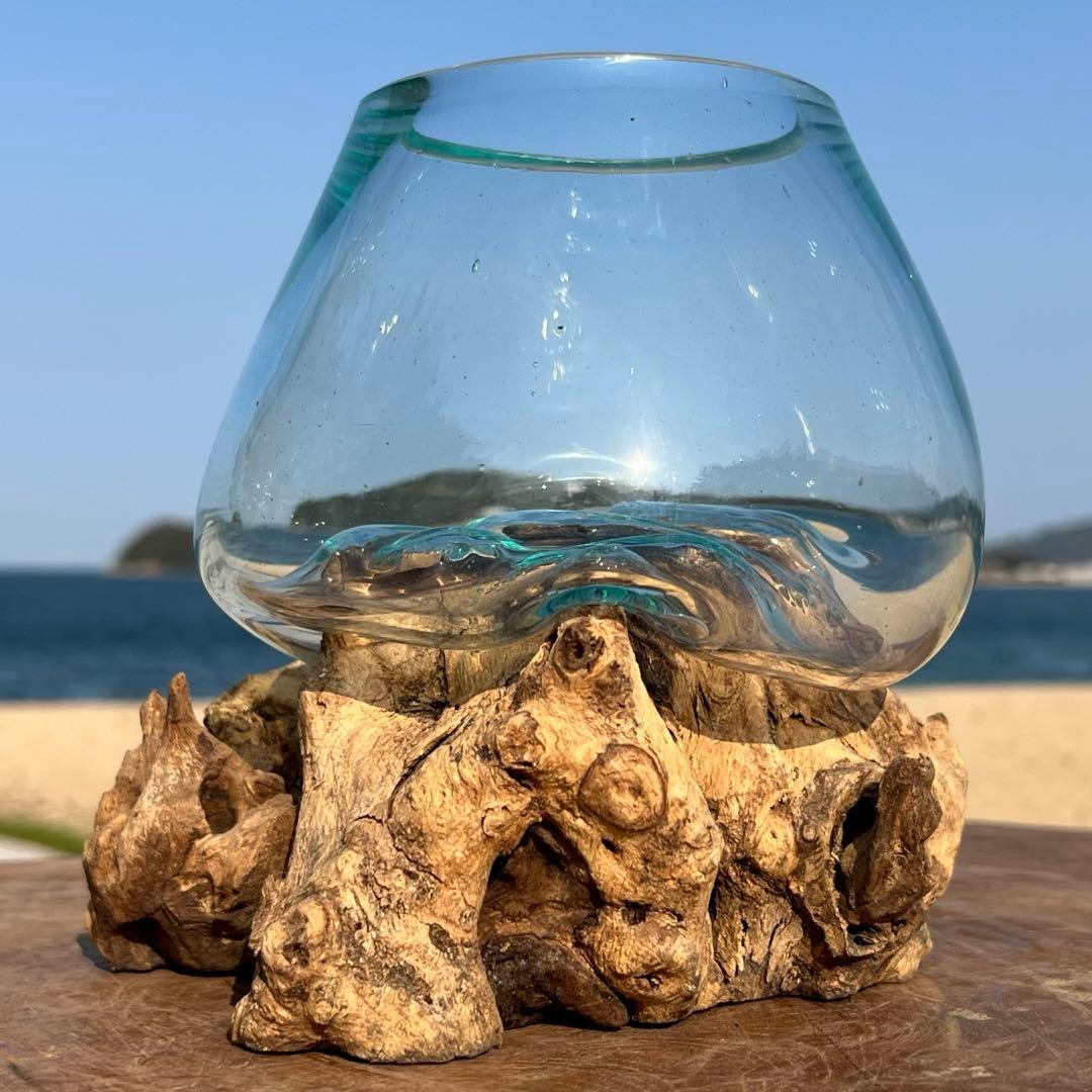 流木ガラス オブジェXSN バリ島 花瓶 金魚鉢 メダカ水槽 テラリウム アート