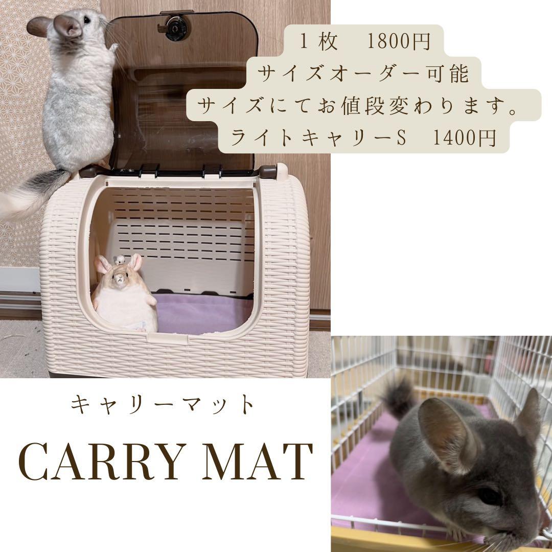 海外アンチピルマット　商品紹介ぺージ　オーダー中止中