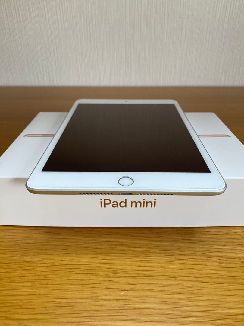 iPad mini 第5世代　新品純正充電器付　iPad本体　Aランク