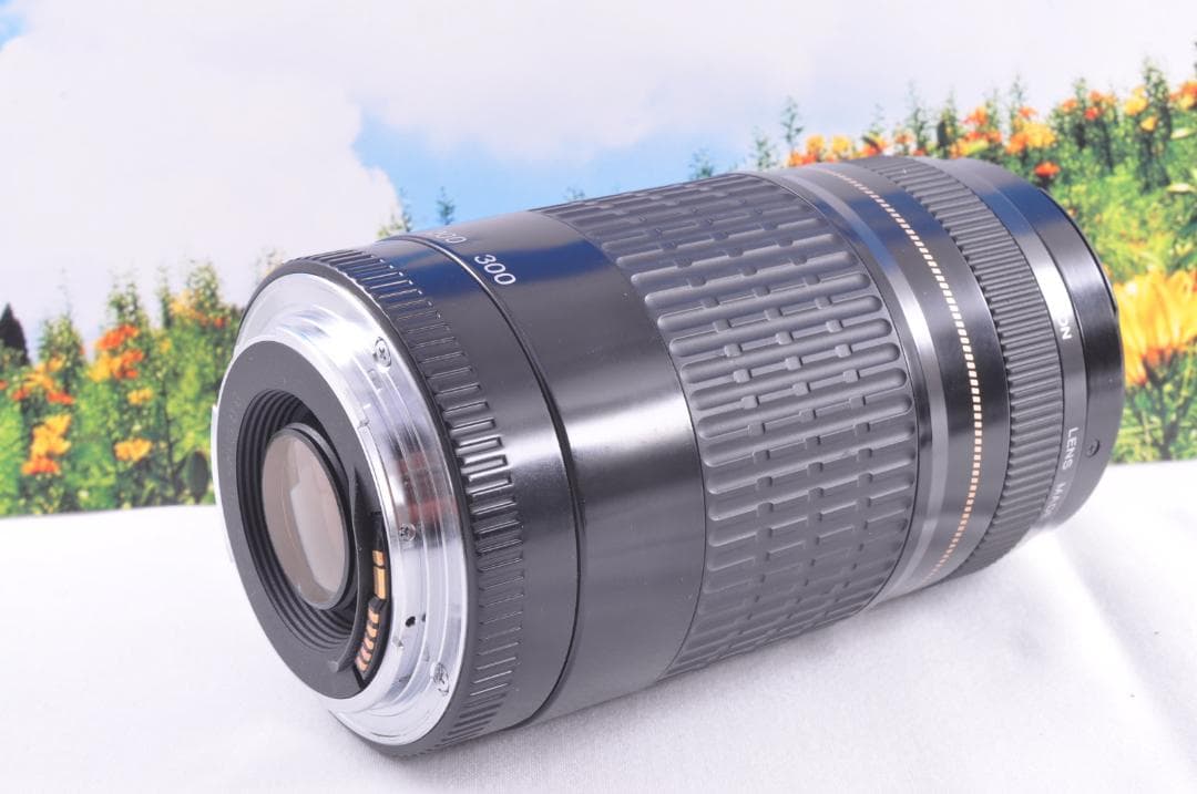 Canon EF 75-300mm USM フード付キヤノン 望遠ズーム 整備済