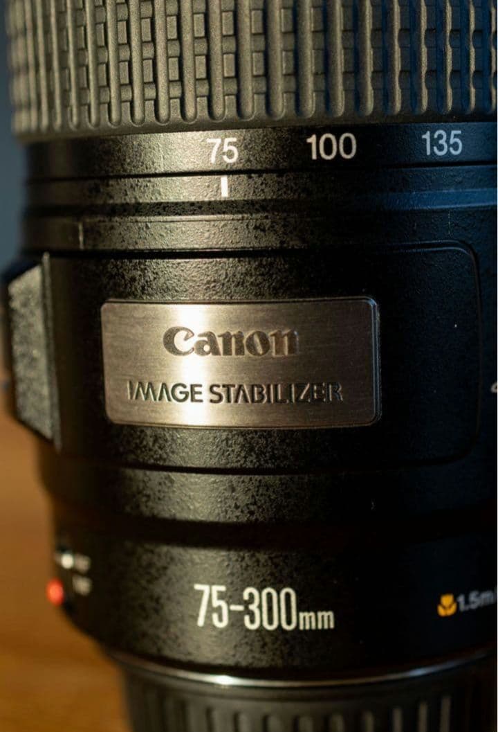 Canon EF 75-300mm f/4-5.6 IS USM 望遠レンズ