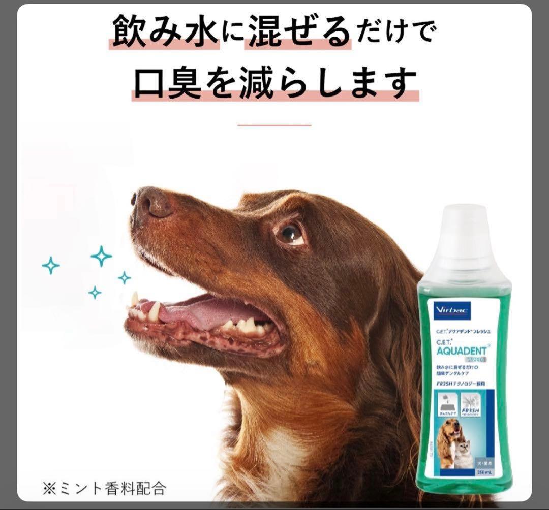【まとめ売り】アクアデントフレッシュ250ml×3