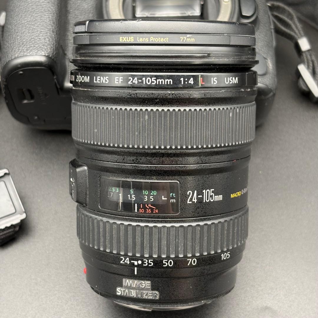 Canon EOS 5D Mark IV + EF 24-105mm 動作品