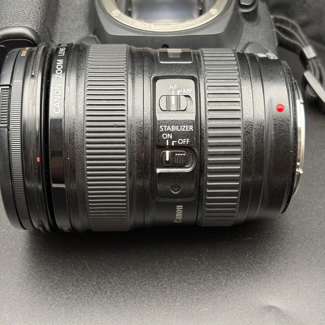 Canon EOS 5D Mark IV + EF 24-105mm 動作品