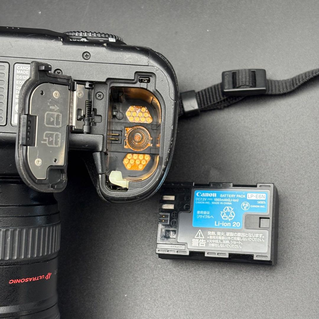 Canon EOS 5D Mark IV + EF 24-105mm 動作品