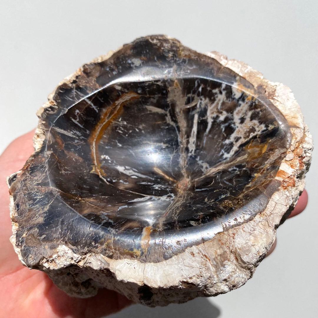 【 珪化木 ペトリファイドウッド ボウル 約690g アクセサリー トレイ 】