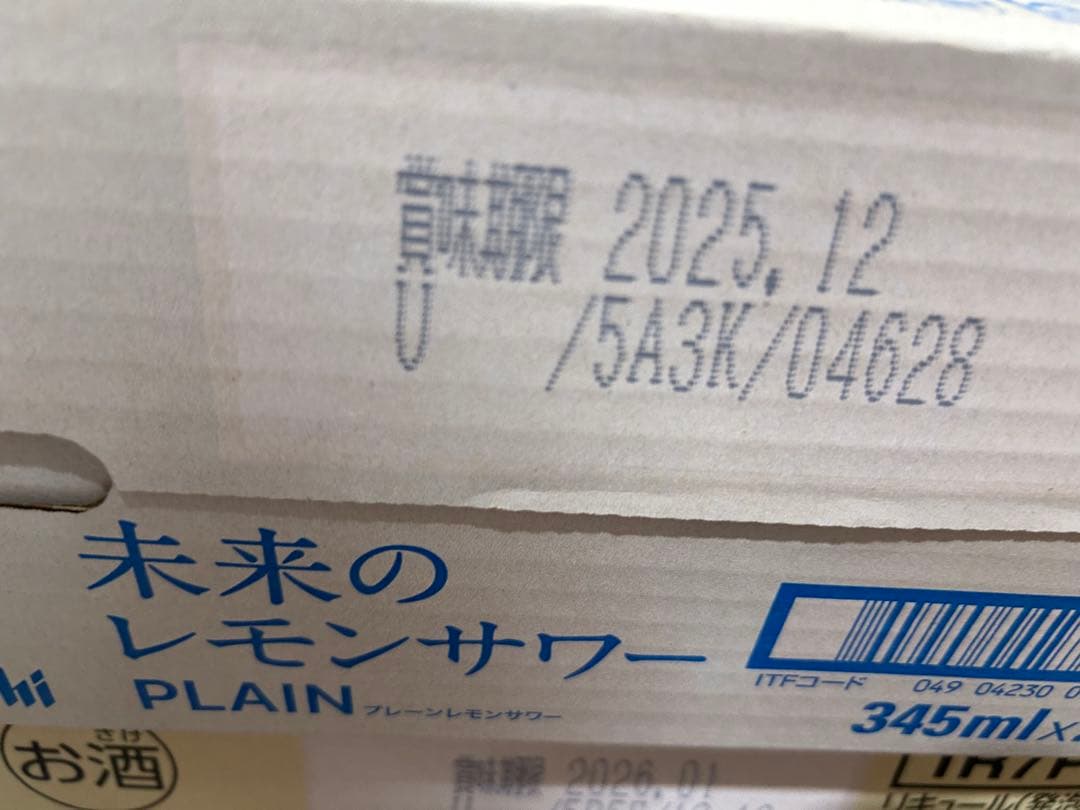 未来のレモン　プレーン