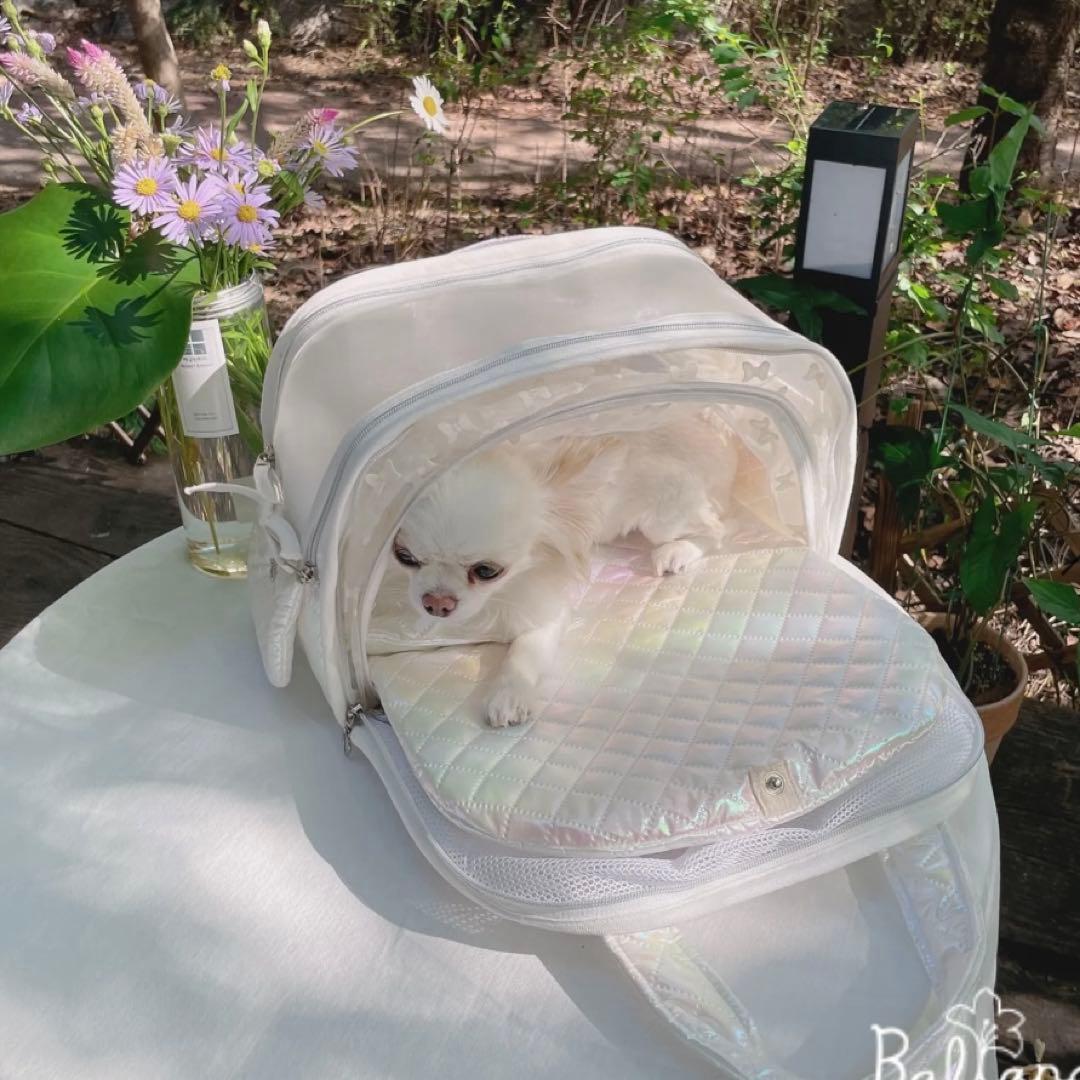 AJIBAG CUBE SEETHROUGH [WHITE BEAM]展開式