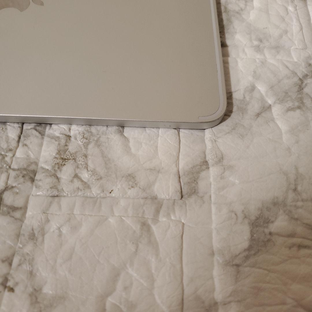 110 iPad Pro 11インチ 第1世代 256GB Wi-Fi シルバー