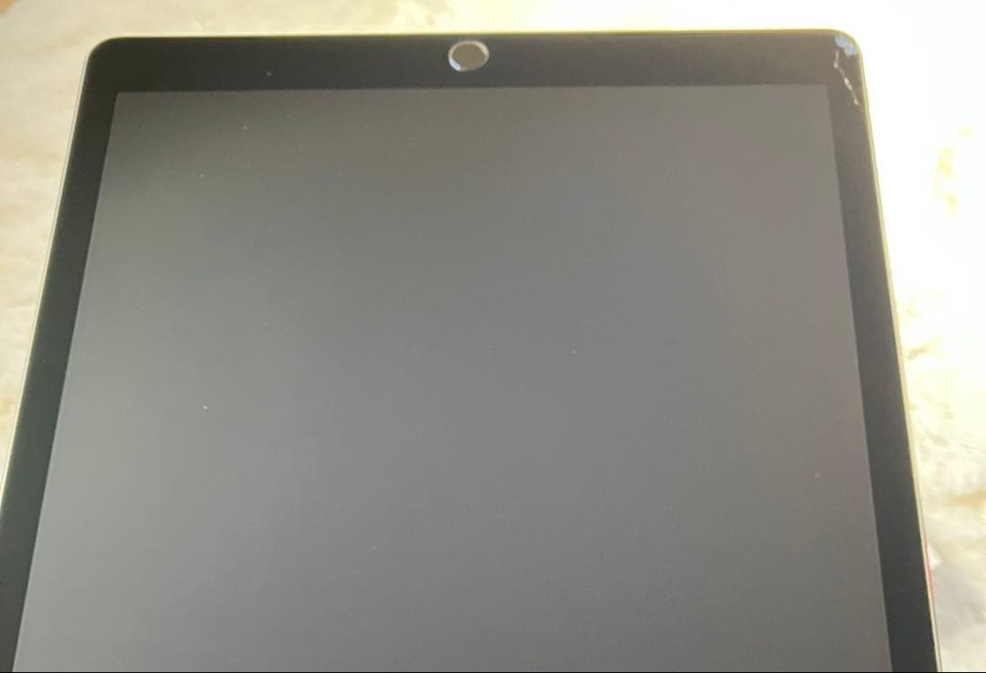 【早い者勝ち】iPad Pro 12.9 128GB 【すぐ発送】【付属品】