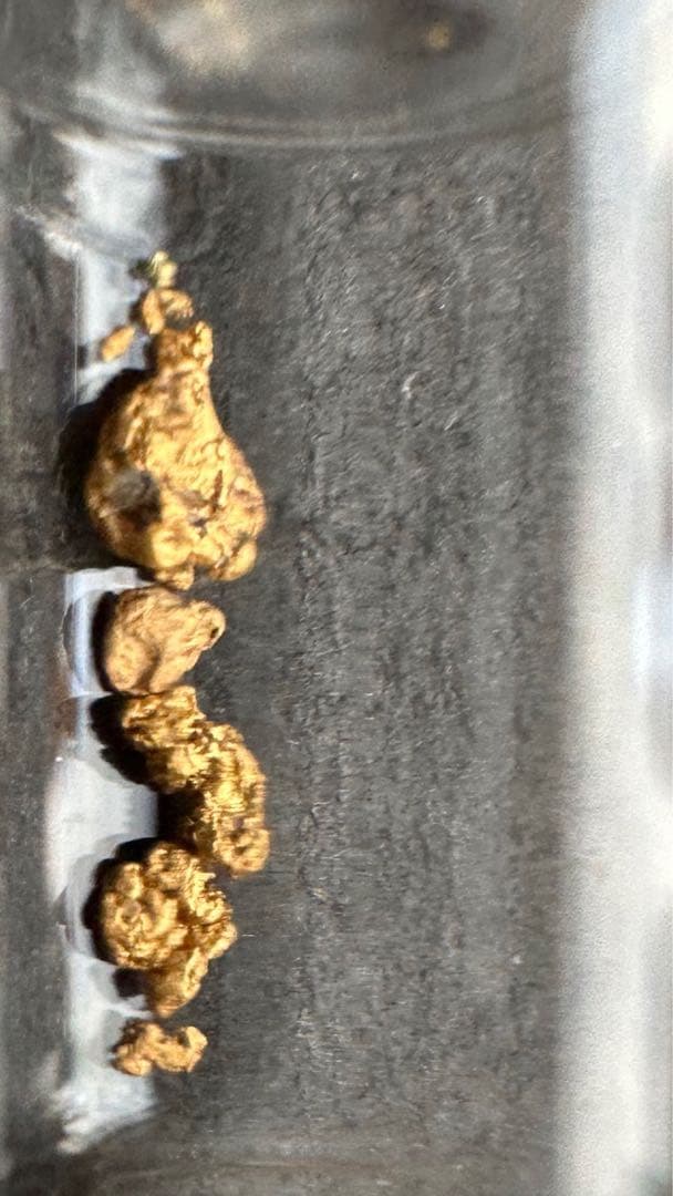 砂金　自然金　国産　石英