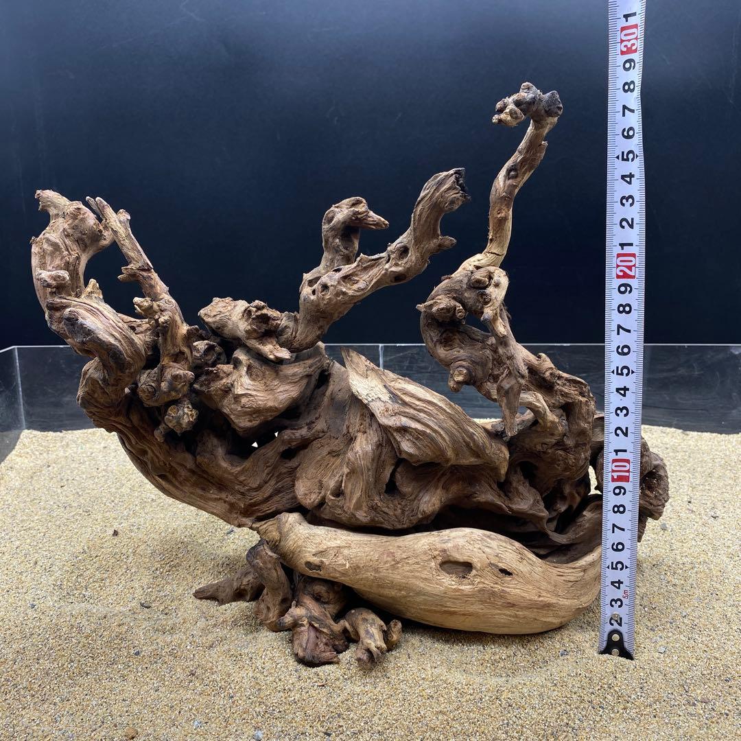 MSW-6454 -6458天然流木　1点物　枝流木　アクアリウム