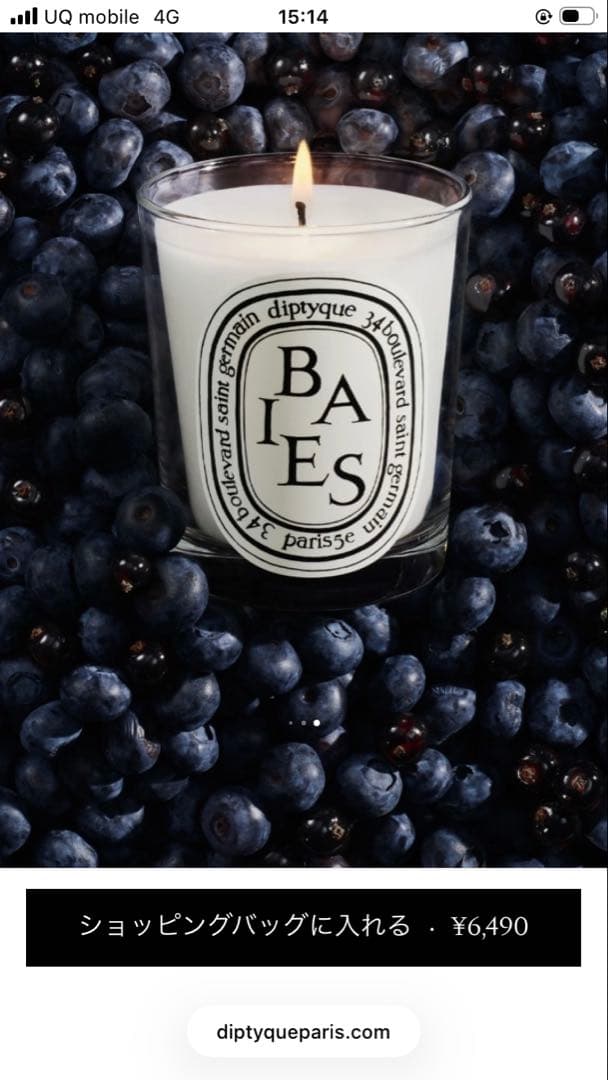 Diptyque BAIES アロマキャンドル 70g