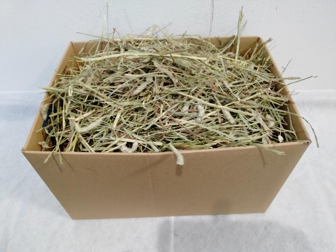 【10/20まで】 カナダ産 チモシー 30kg スーパープレミアム １番刈り