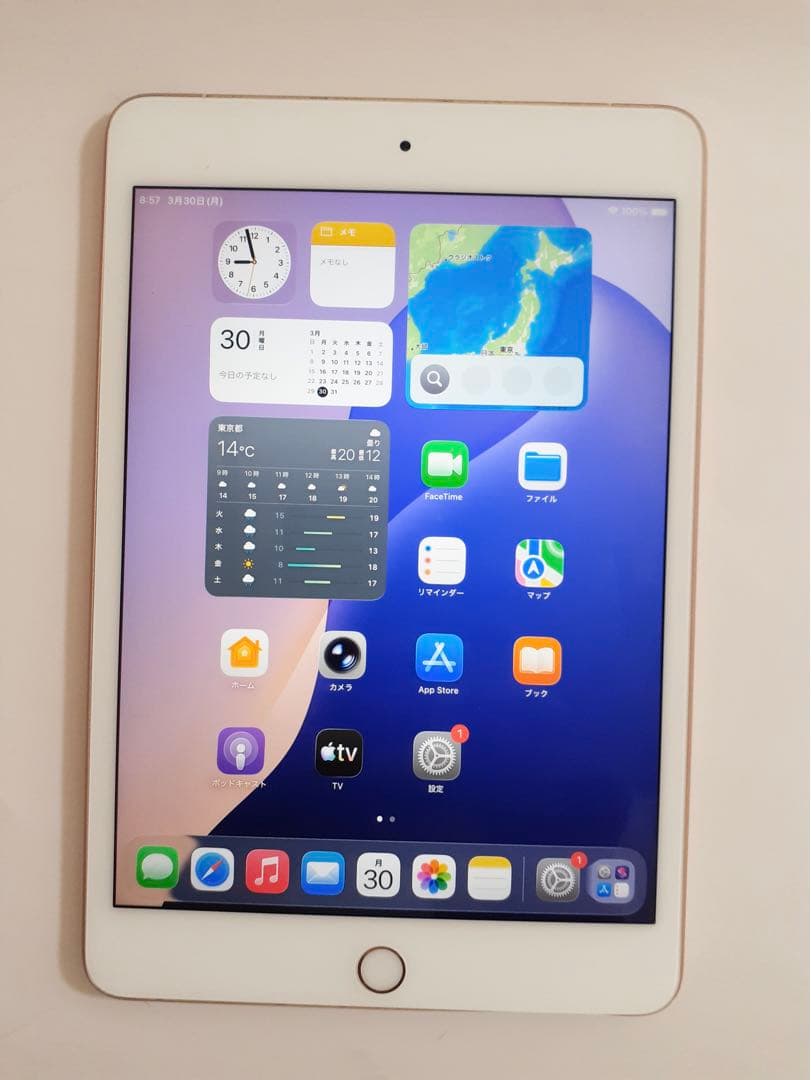 iPad mini 5 第五世代 64GB ゴールド セルラー　SIMフリー