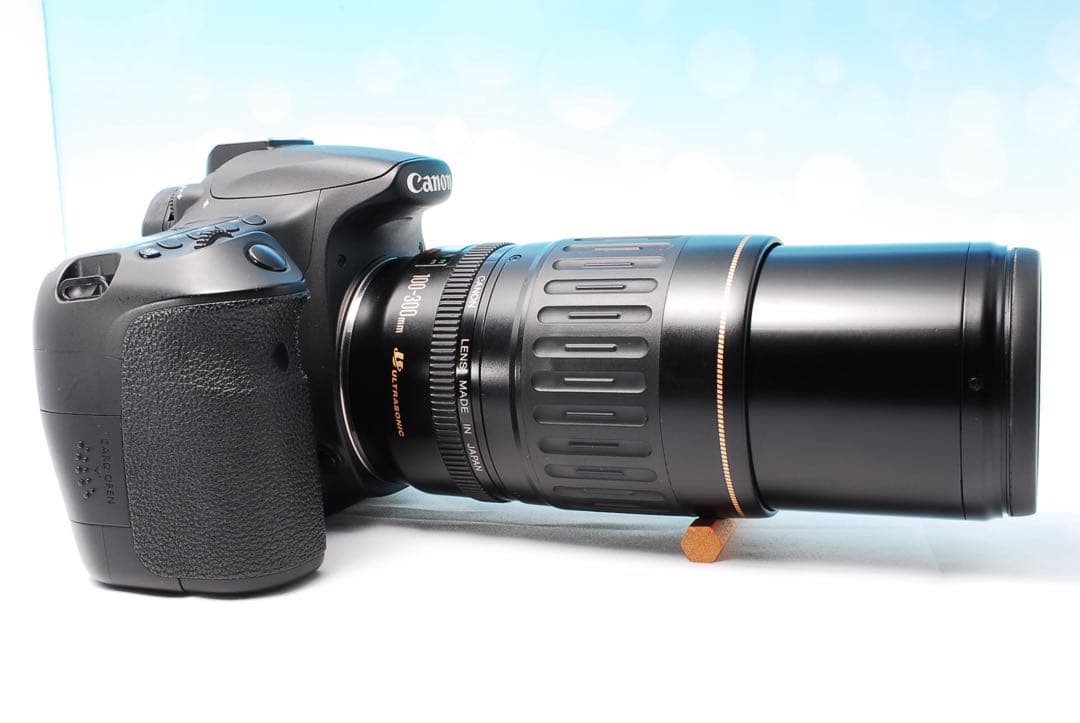 Canon EOS 60D Wレンズセット 初心者OK すぐ使える 動画撮影可