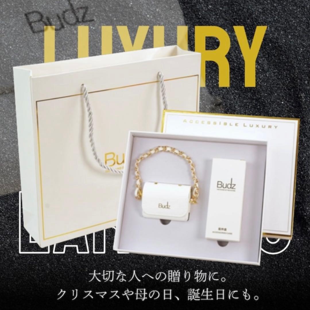 【新品】耳を塞がないイヤホン Budz ミニバッグ風ケース付 軽量 アクセサリー