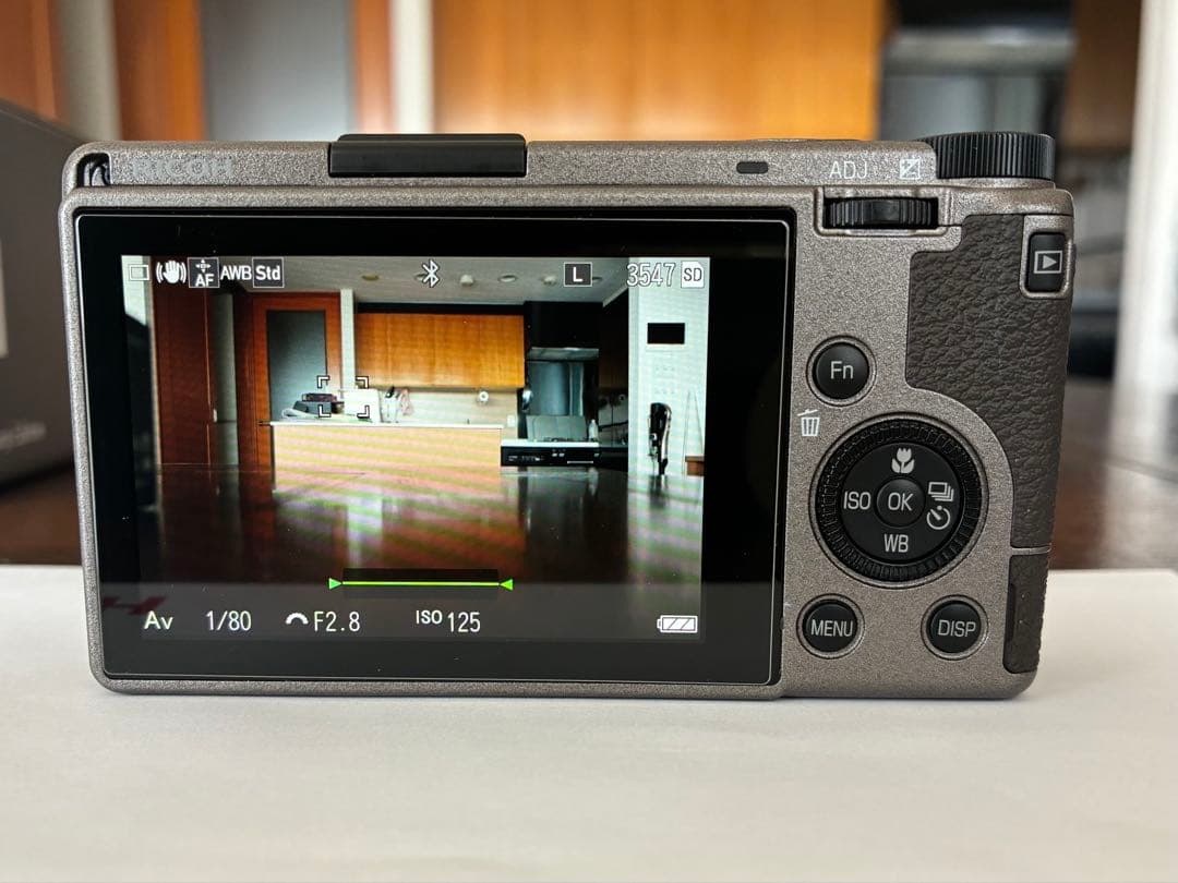 【美品】RICOH GR III Diary Edition【ショット数842】