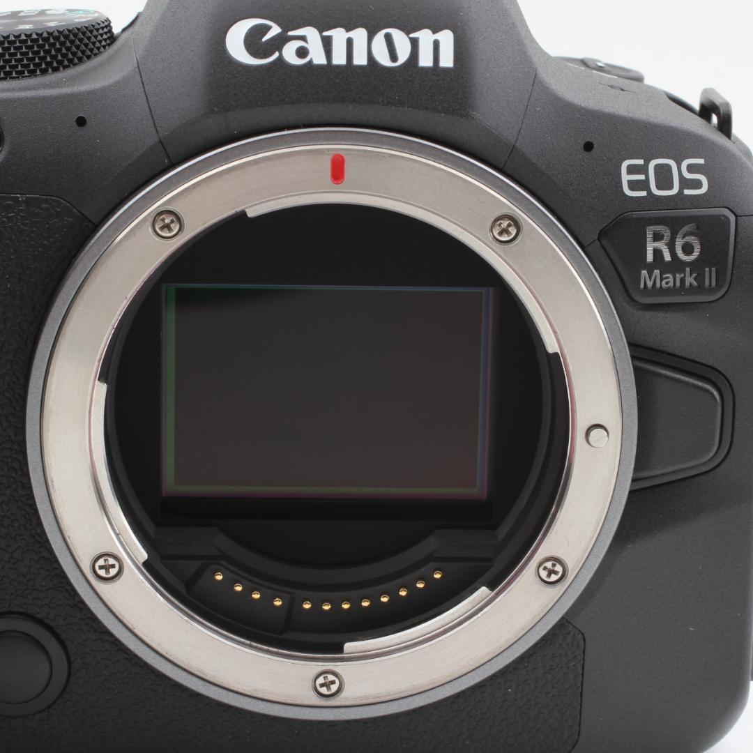 【美品】Canon EOS R6 Mark II + RF 24-105mm