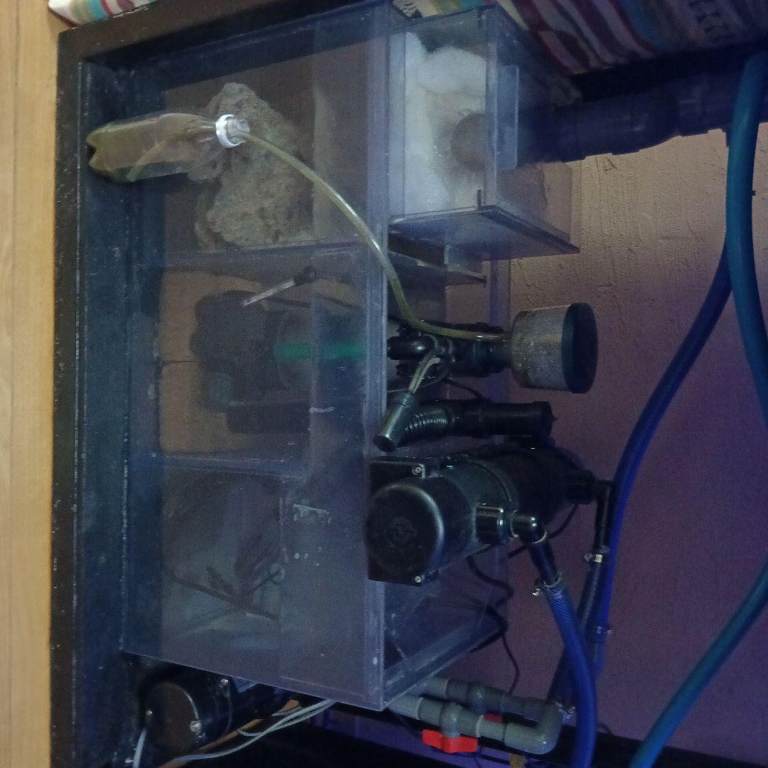 90x45x45ガラスオーバフロー海水