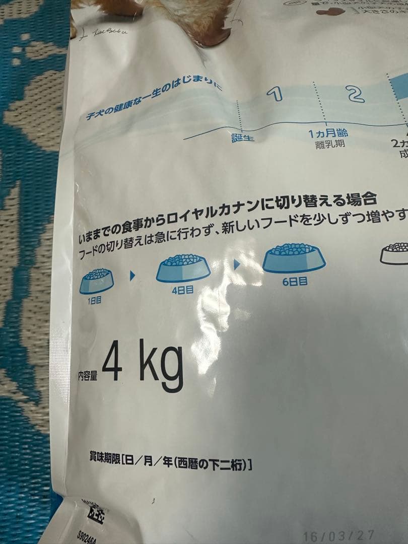  CANIN ミニインドアパピー 4kg