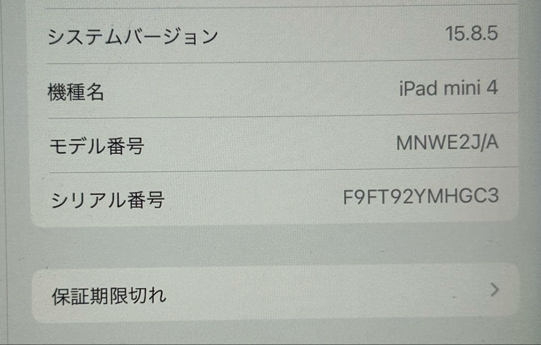 iPad mini 4 Wi-Fi + Cellular au　スペースグレイ