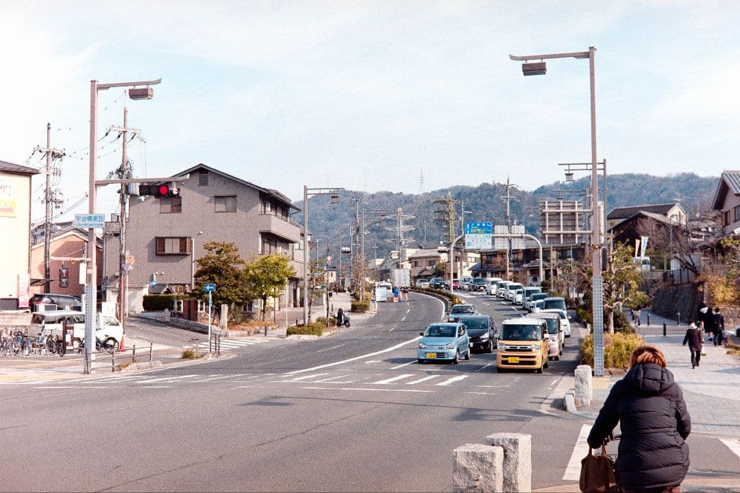 【整備・実写あり】MAMIYA Ruby1.9☆大口径レンズを生かした繊細な写り