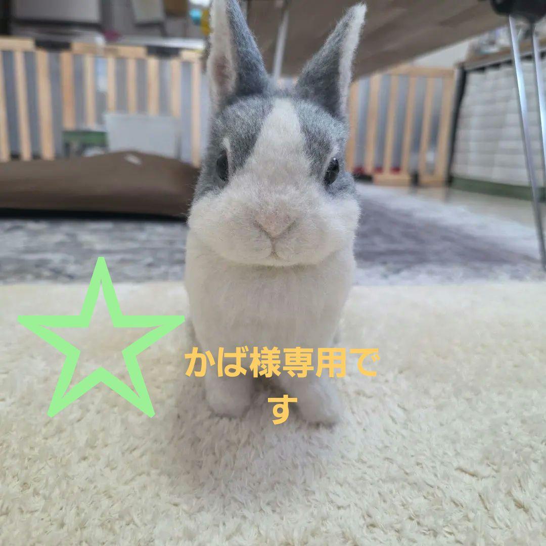 羊毛フェルト うさぎ