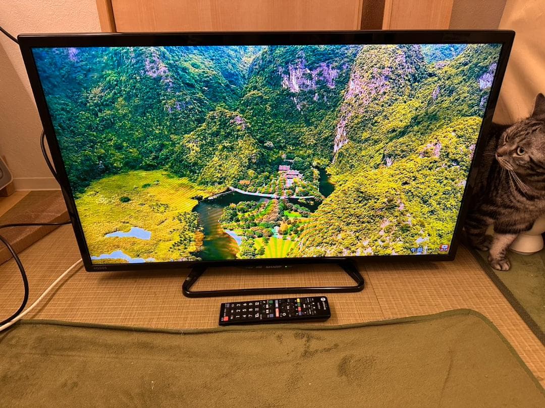 SHARP　シャープ　32型　テレビ LC-32E40 2017年製　地上波不可