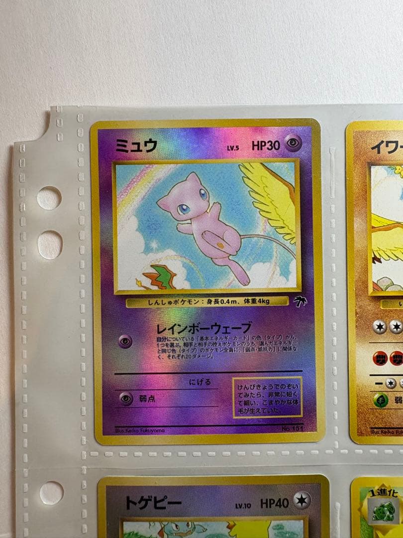 ポケモンカード レインボーアイランド／トロピカルアイランド 2枚セット　旧裏