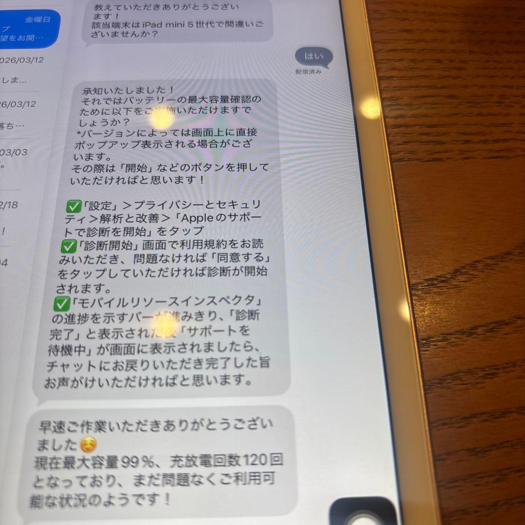 【美品】iPad mini (第5世代) 64GB バッテリー最大容量99%