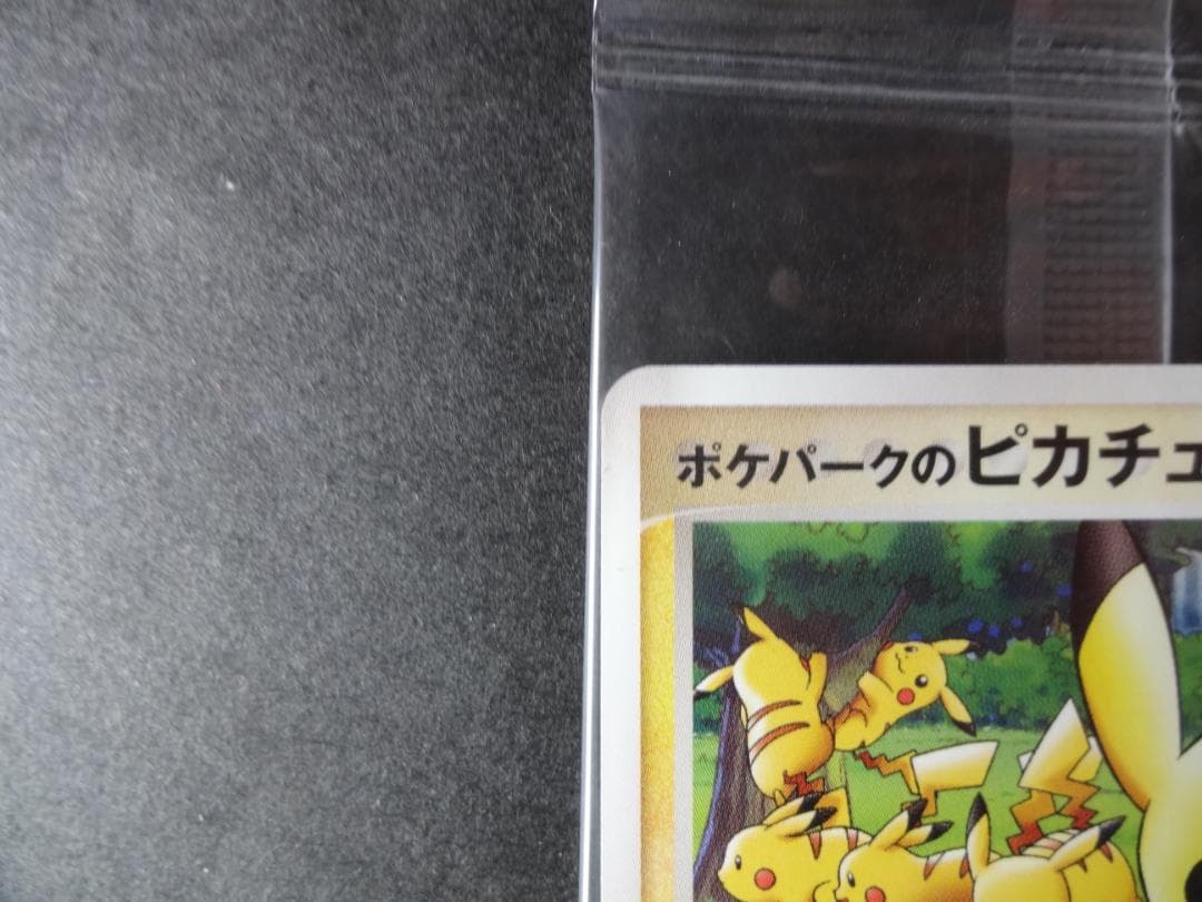 ポケモンカード　ポケパークのピカチュウ　（未開封）