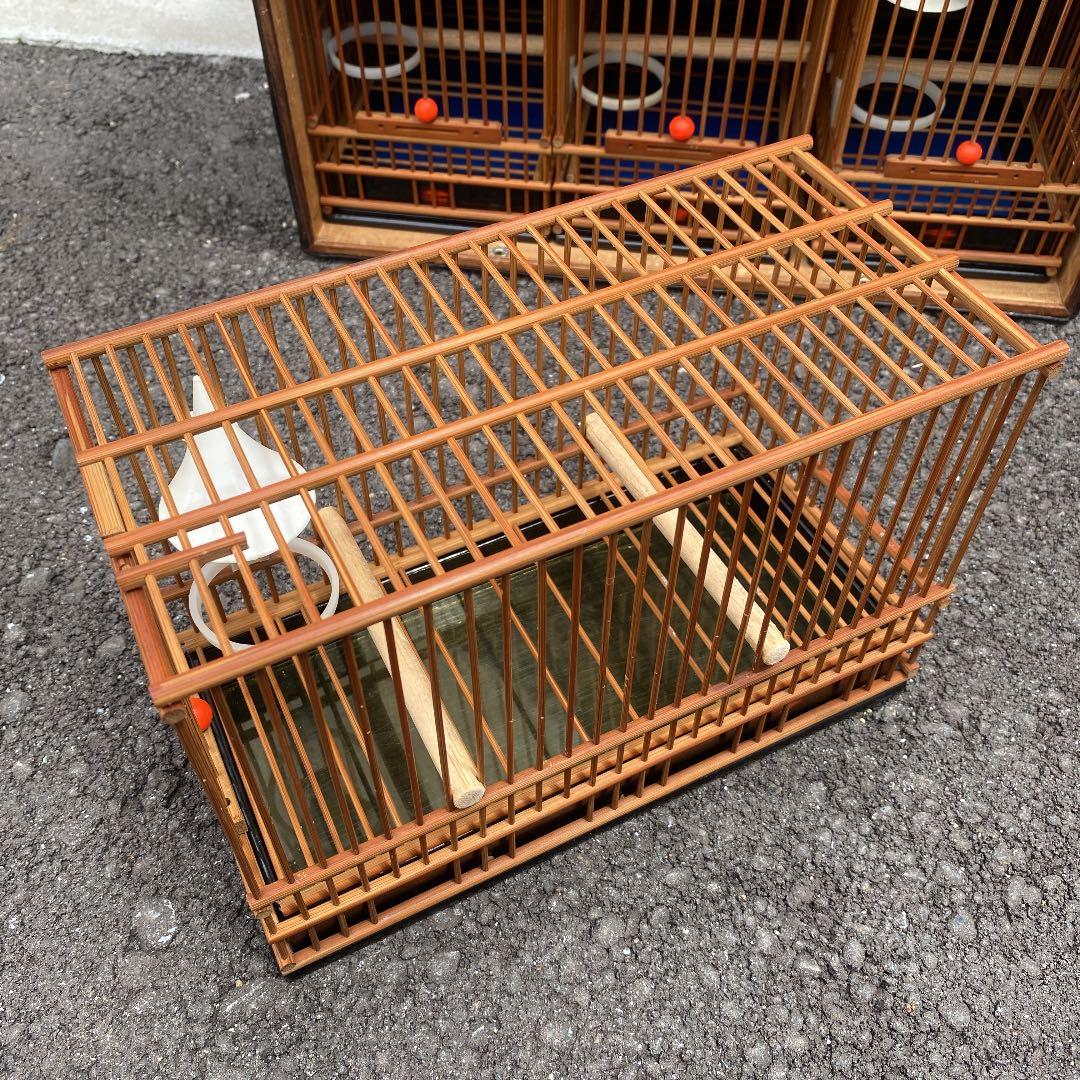 メジロ　鳥籠　トリカゴ　鳥かご　小鳥　セット　山一