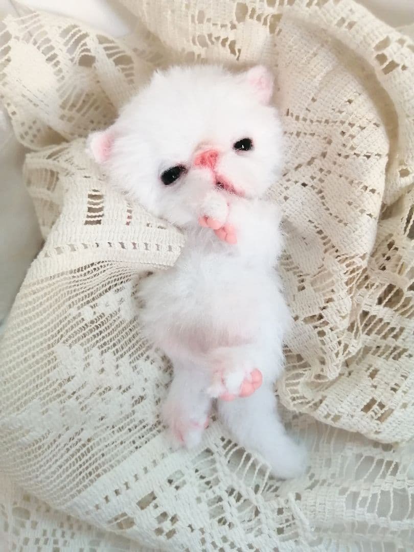 むぎゅサイズ♡ちびちび子猫ちゃん♡アートドール♡ぬいぐるみ♡