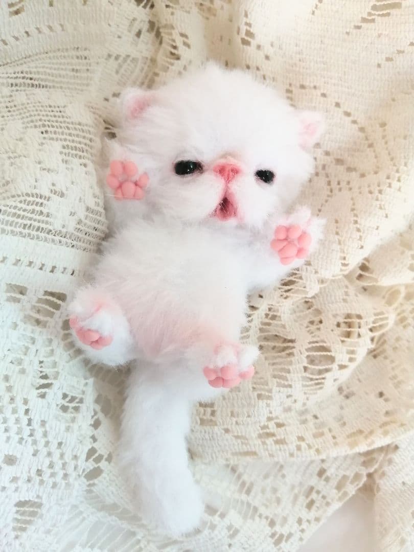 むぎゅサイズ♡ちびちび子猫ちゃん♡アートドール♡ぬいぐるみ♡