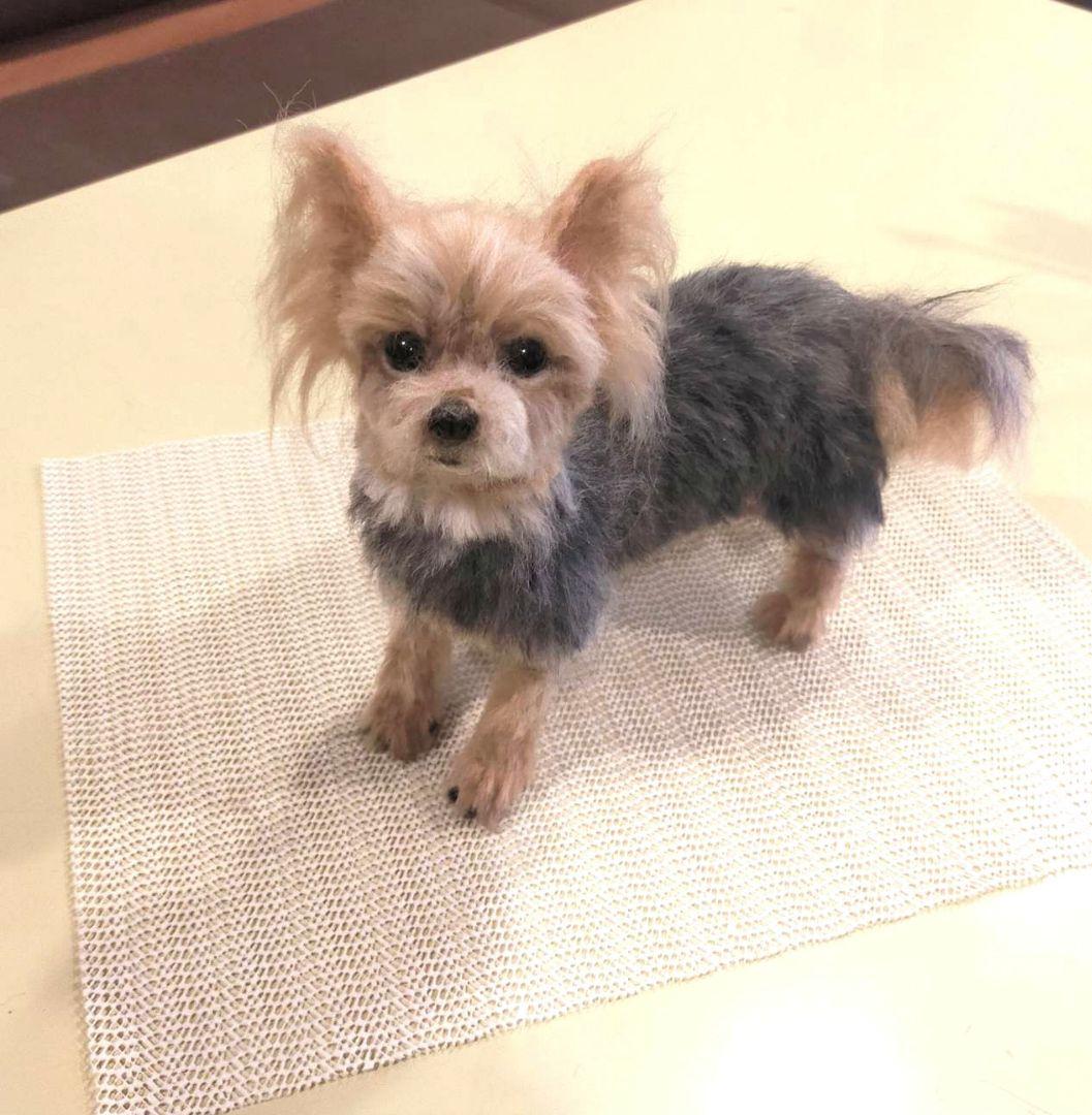 羊毛フェルト　ハンドメイド　犬　ヨークシャテリア