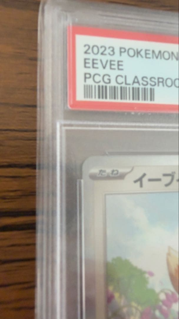 イーブイ: プロモ [SV-P 033]「 ポケモンカードゲーム教室」