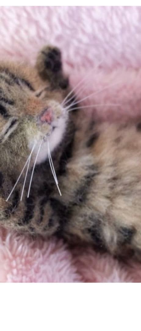 羊毛フェルトおねんね キジトラ子猫 約15cmお値下中