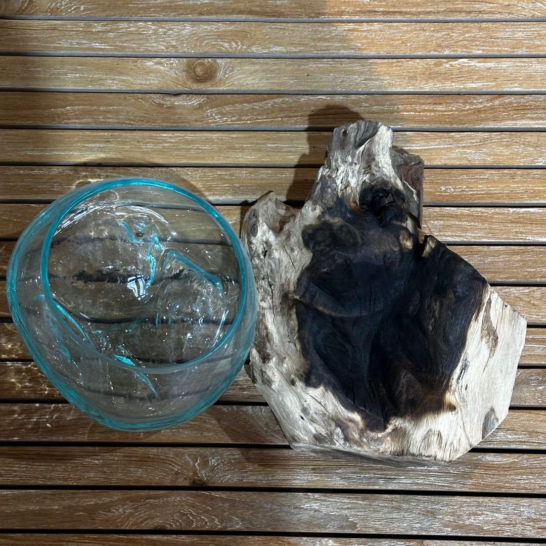 【送料込】バリ島流木ガラス　ガラスΦ20cm前後 苔リウム254Dアクアリウム