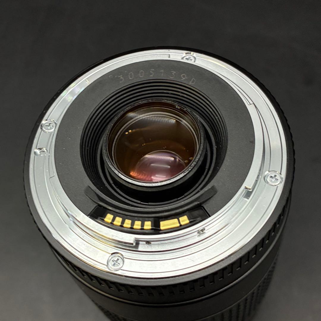 Canon EF 75-300mm f/4-5.6 II ズームレンズ キャノン