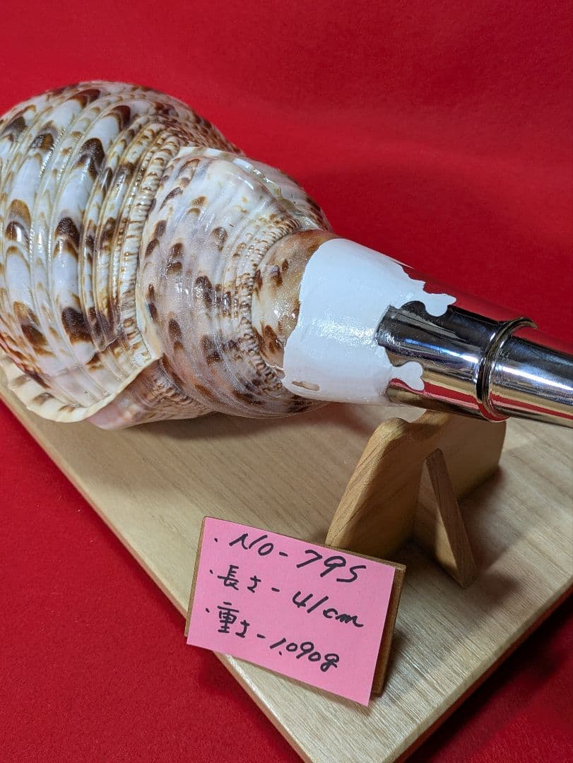 ＮＯ−７９Ｓ法螺貝 #金具入り#ホラ貝#和楽器#和太鼓 #修験道