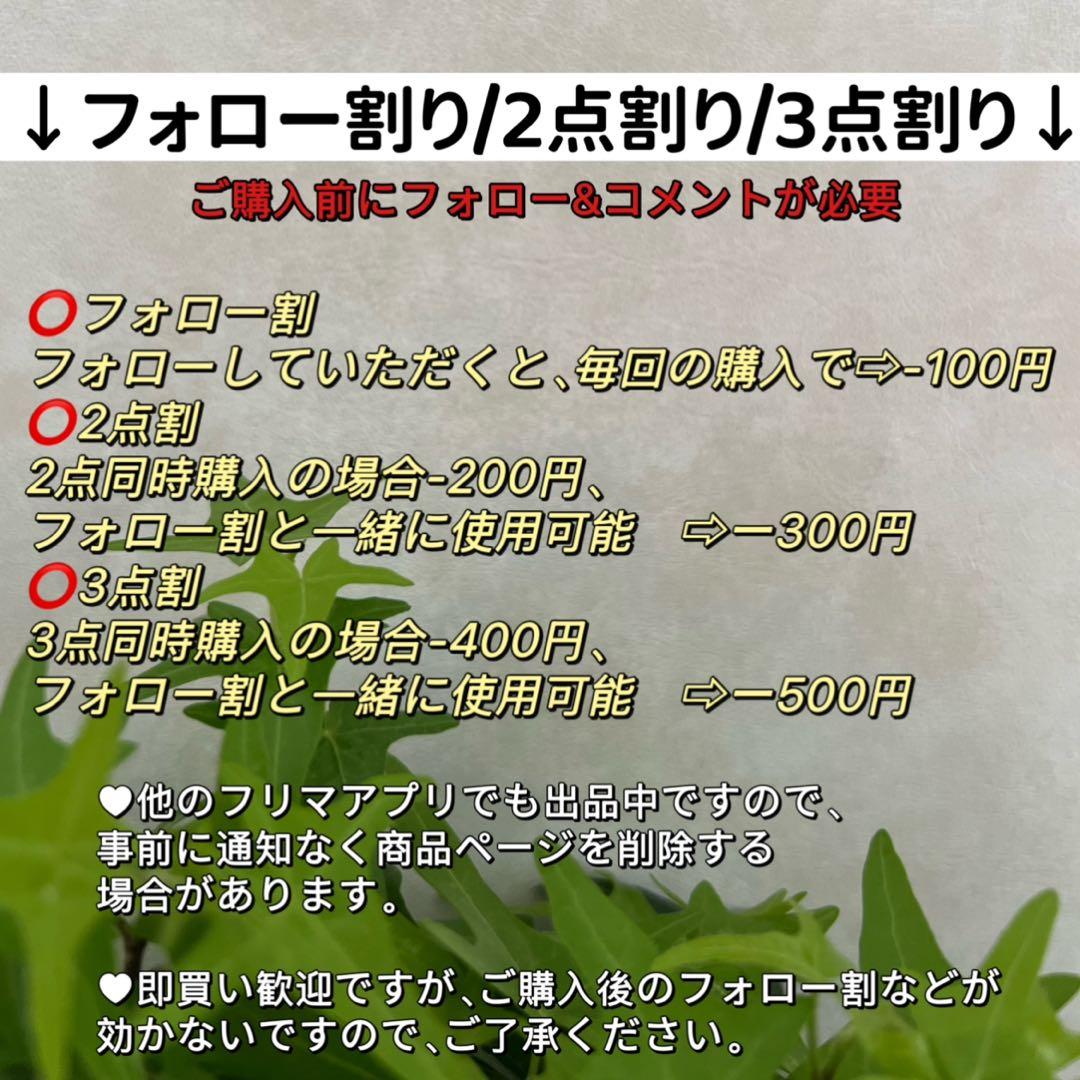 2粒タヒチ黒蝶真珠ペンダントトップ　パールネックレストップ　8.3mm シルバー