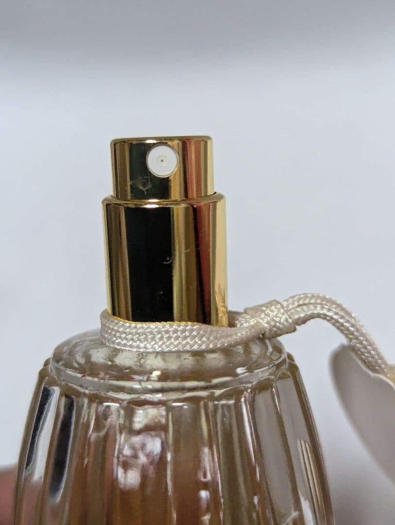 廃盤希少アニックグタールケラムールオードトワレ50ml