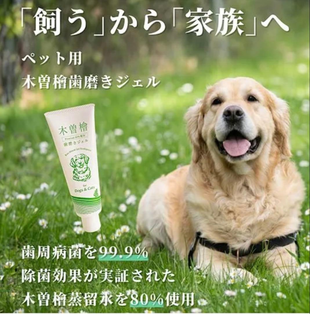 ペット用木曽檜歯磨きジェル120g