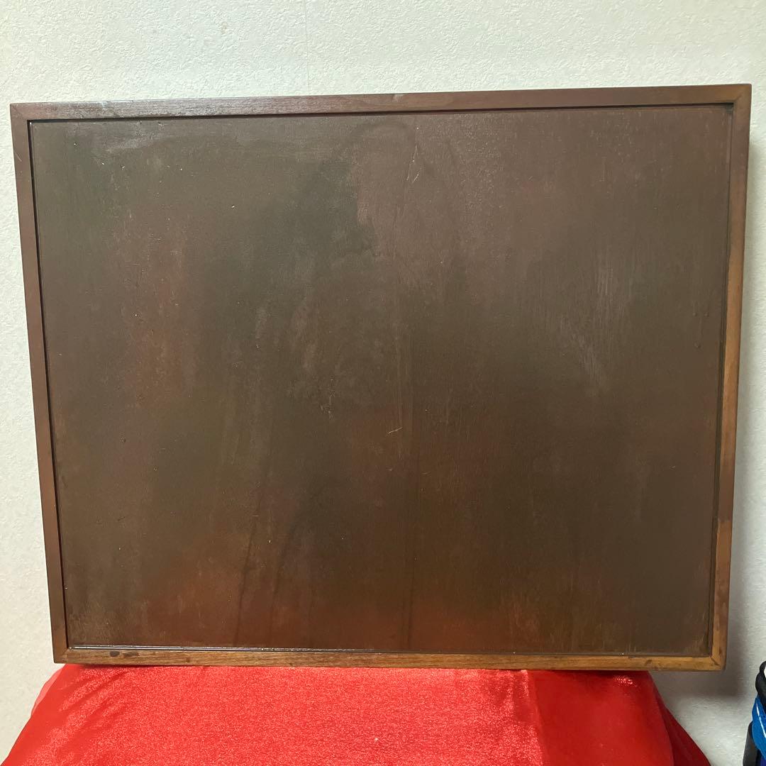 1.大型ドイツ標本箱（カキカモルフォ♂）