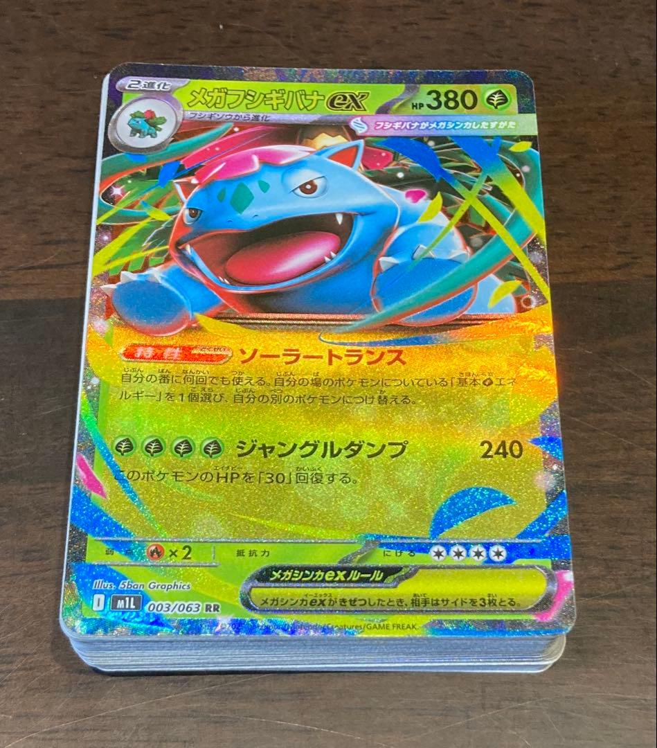 専用 メガフシギバナ メガルカリオ Nのゾロアーク　デッキ