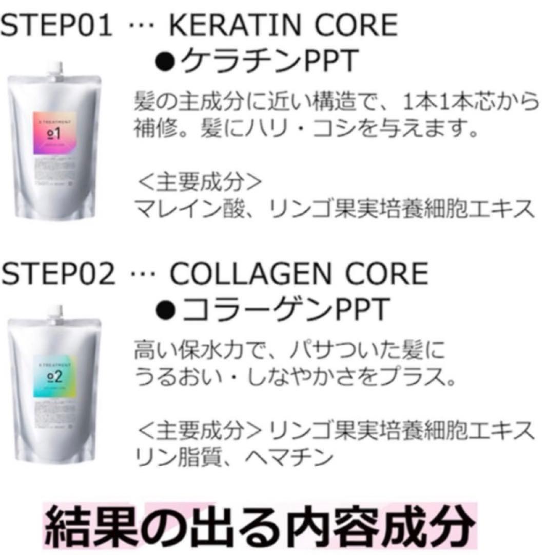 Xトリートメント 4ステップセット　プロ用　ケラチン　CMC ハイダメージ