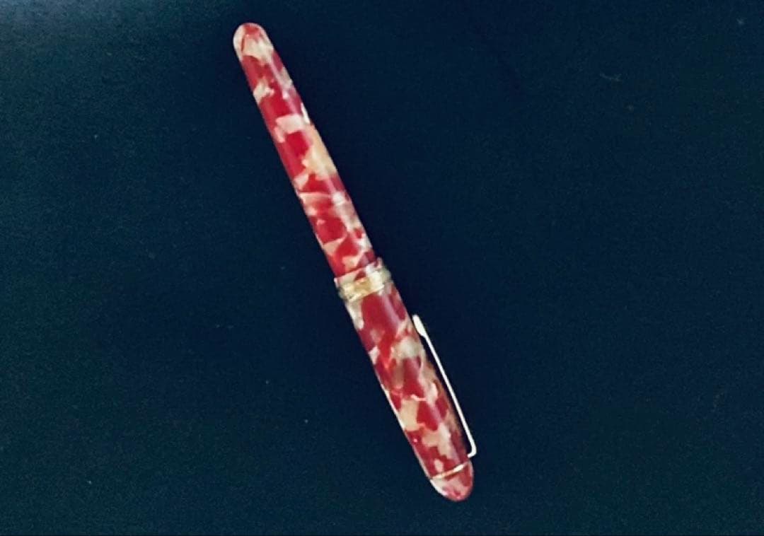 プラチナ3776キンギョZAOペンケース ダイアミンインク