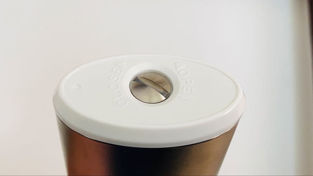 Laminoモイスティーヌ 美顔器 専用ケース付き